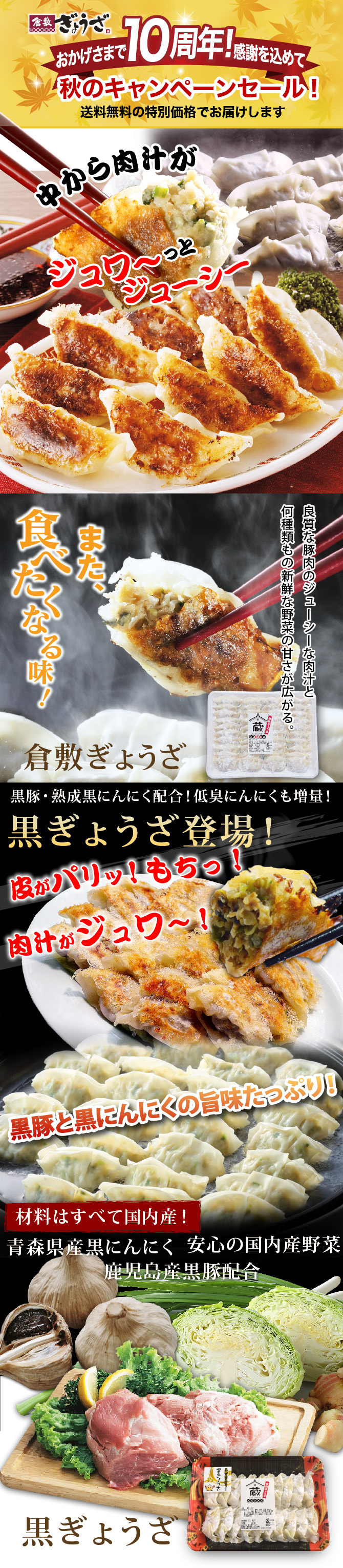 10周年秋のキャンペーンセットB
